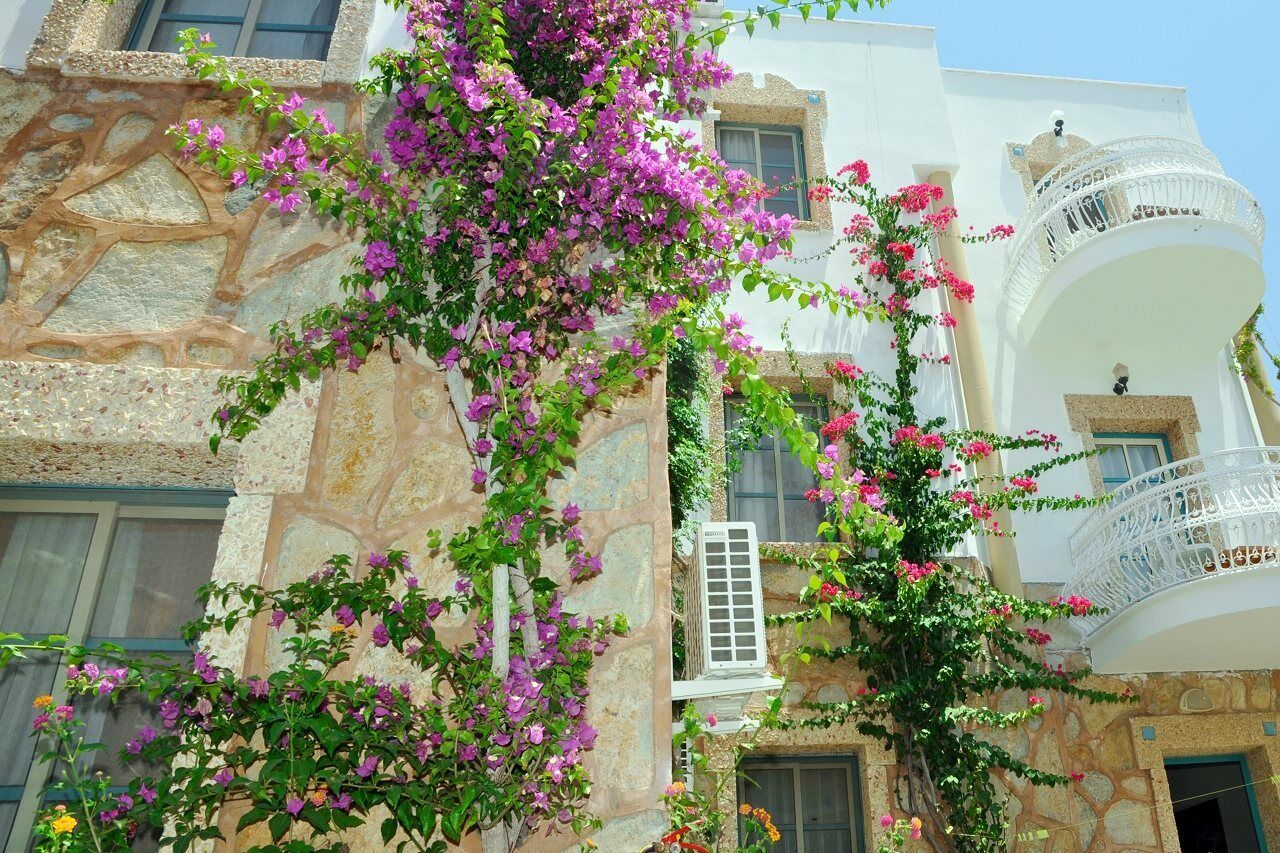 Siesta Beach Apartment Bodrum Exterior foto